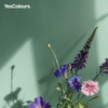 YesColours