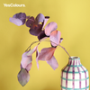 YesColours