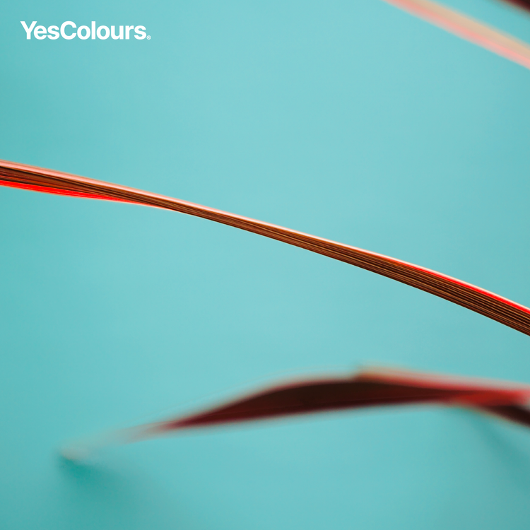 YesColours