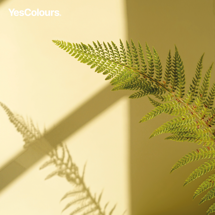 YesColours