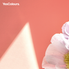 YesColours