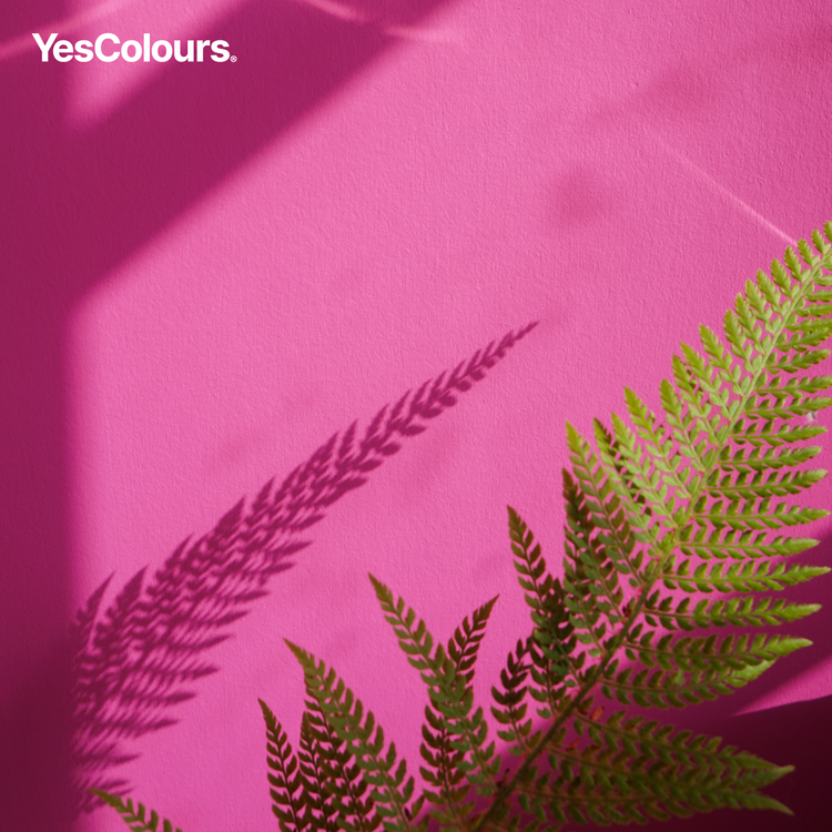 YesColours