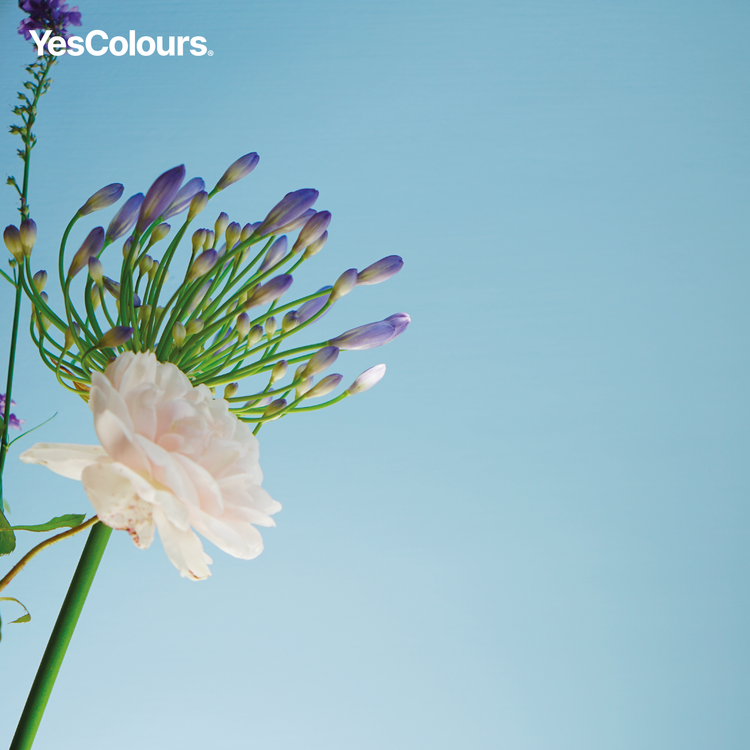 YesColours