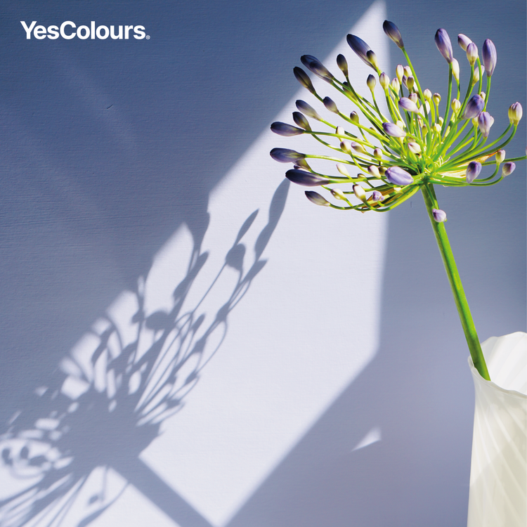 YesColours