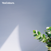 YesColours
