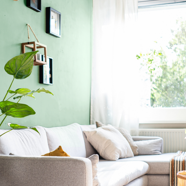Year of the Rabbit 2023: 5 Feng Shui home decor tips for a Zen home