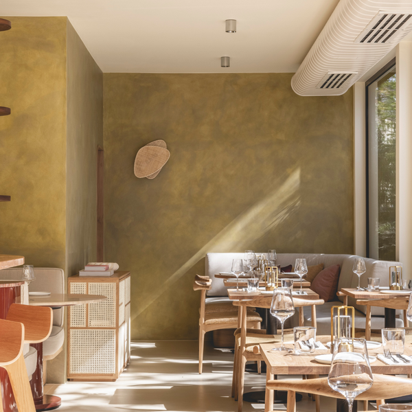 spacious restaurant with strong natural light coming in from the windows on the right, lime-wash painted olive green walls and natural orange-toned chairs