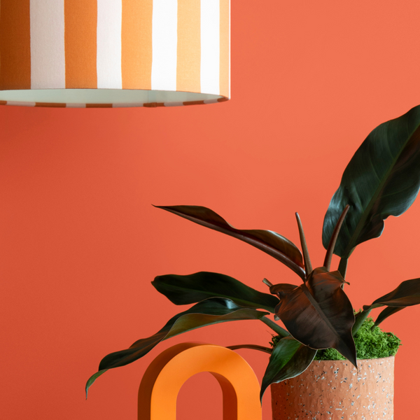 photo of a philodendron surrounded by geometric shapes in orange and a hanging lamp with stripy lampshade in orange and white and a muted orange background behind everything