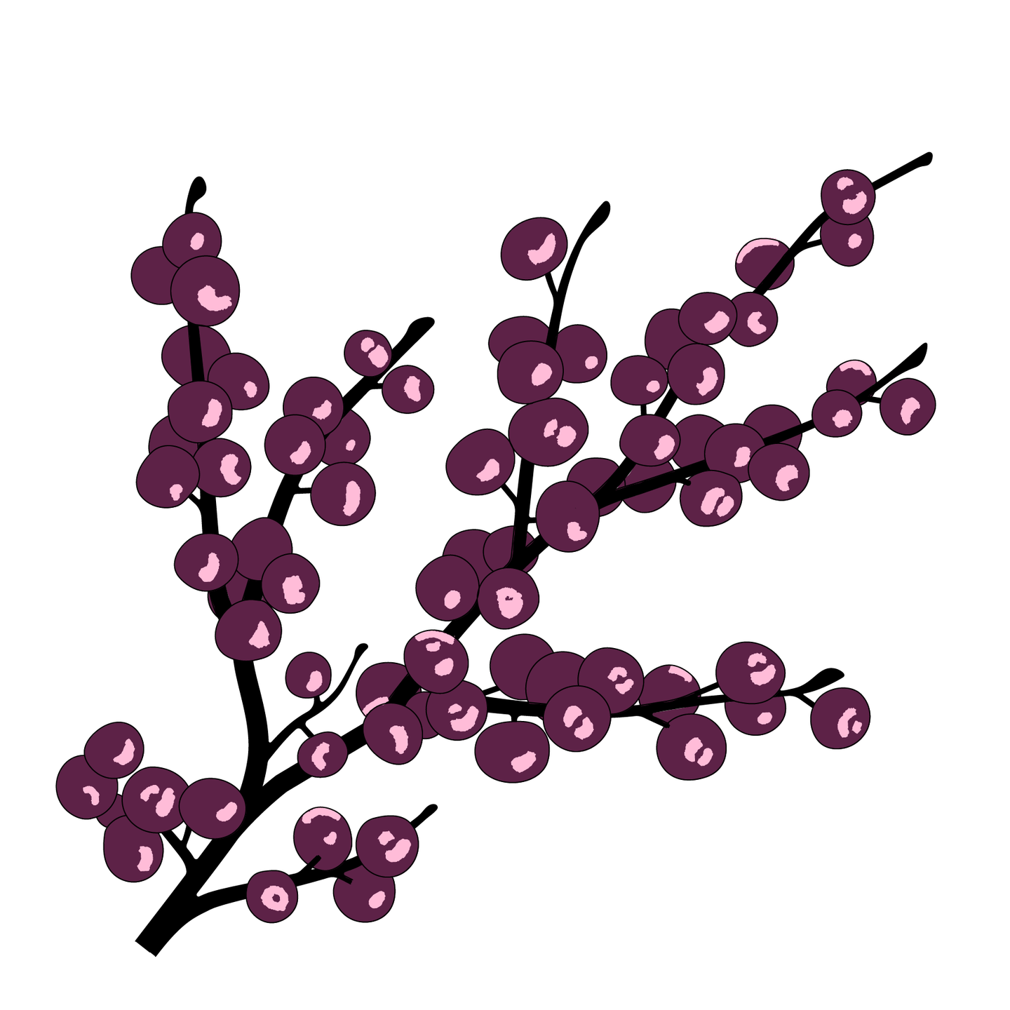 Autumn & Winter Berries paint collection