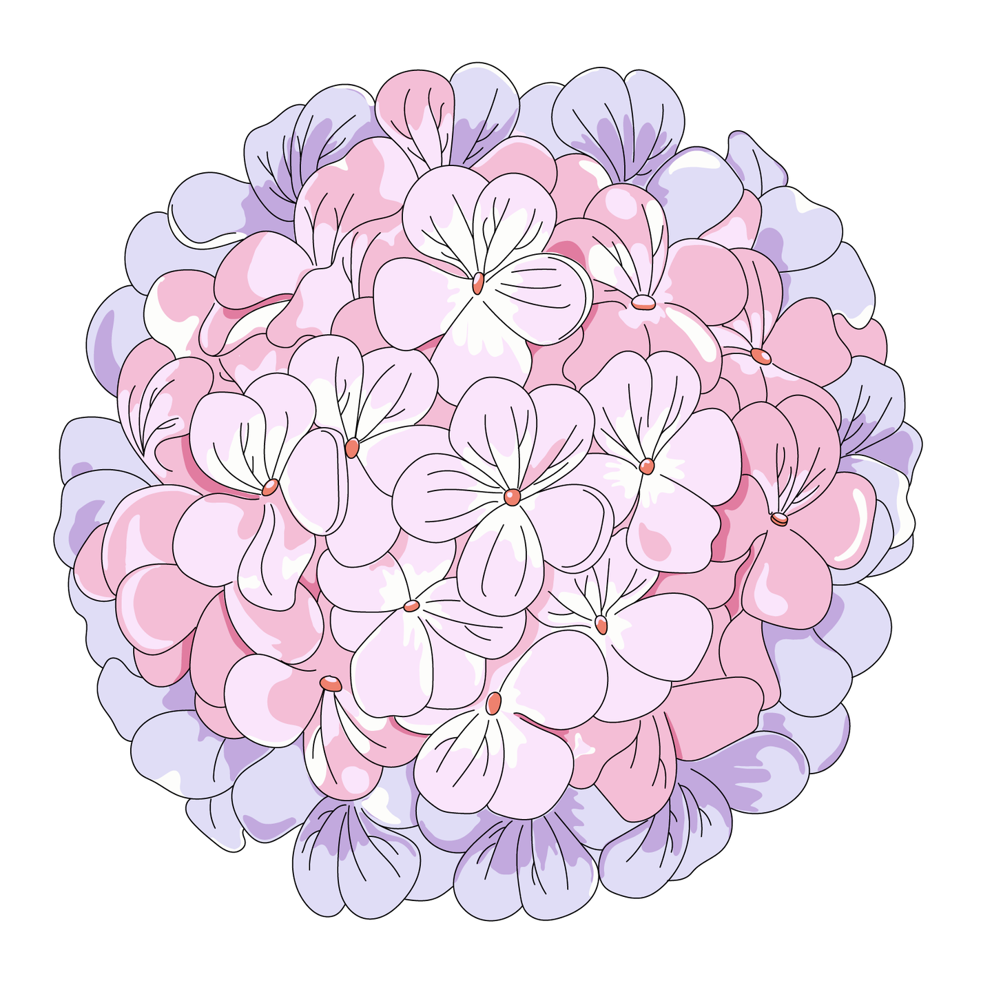 Geranium paint collection