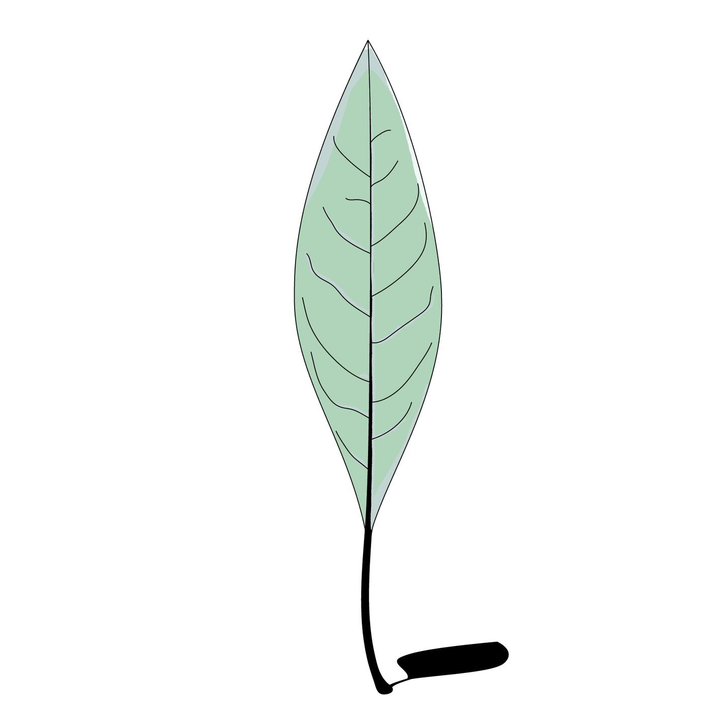 Leafy paint collection