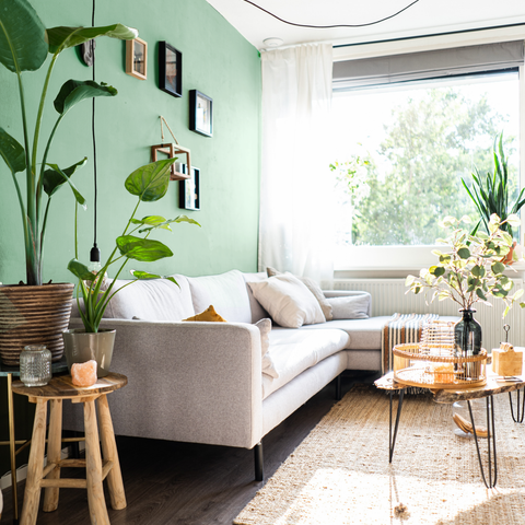 Calming Green paint swatch