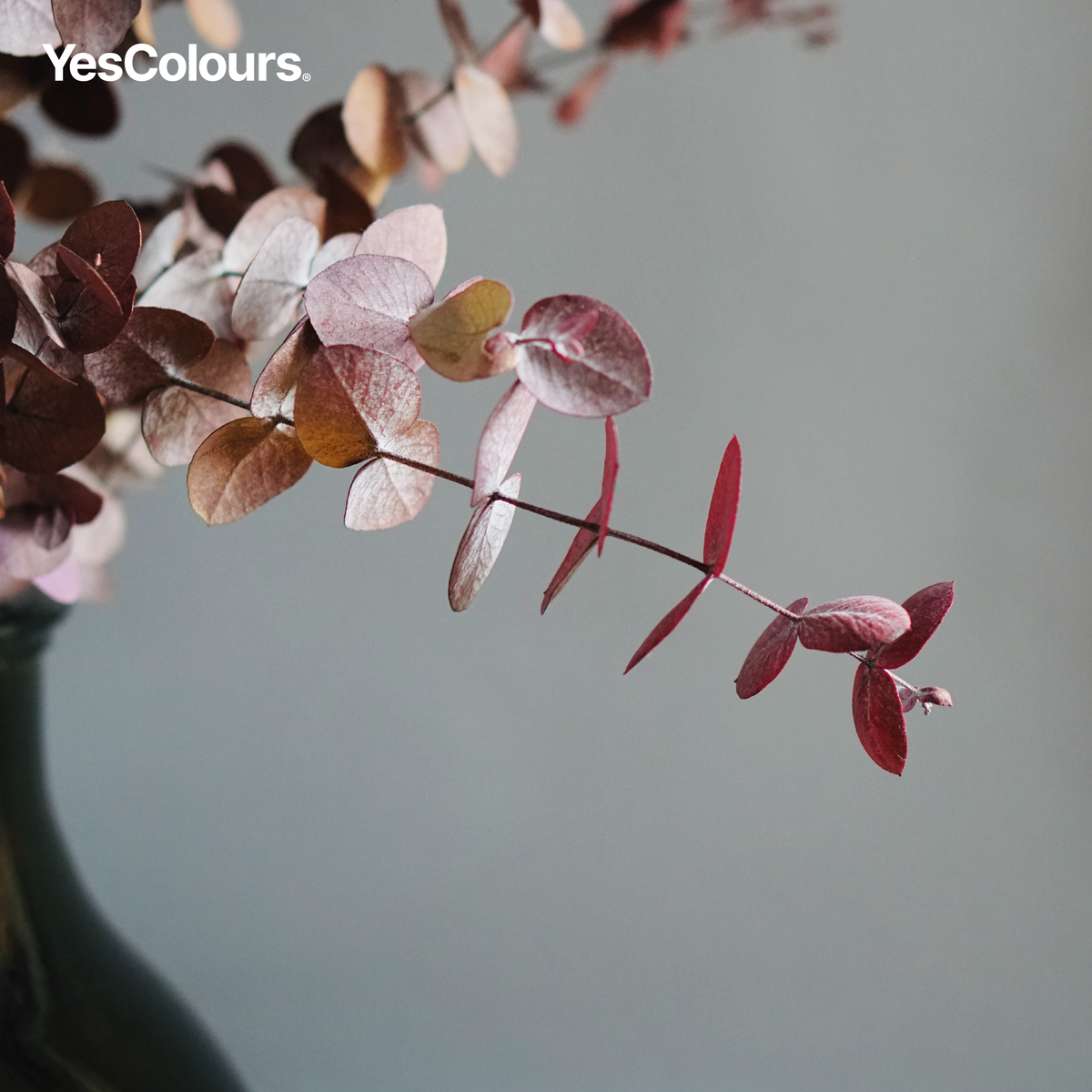 YesColours