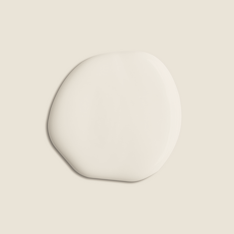 Dirty Neutral paint swatch