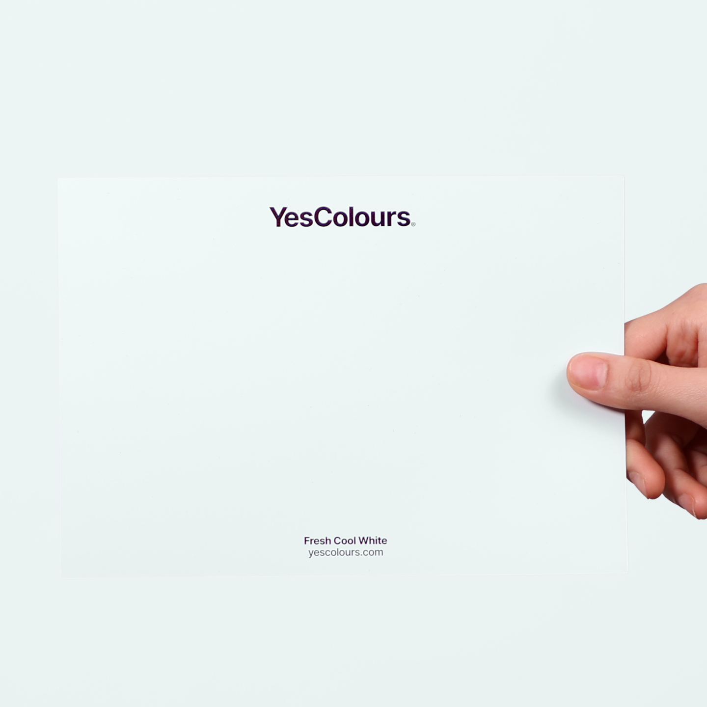 YesColours