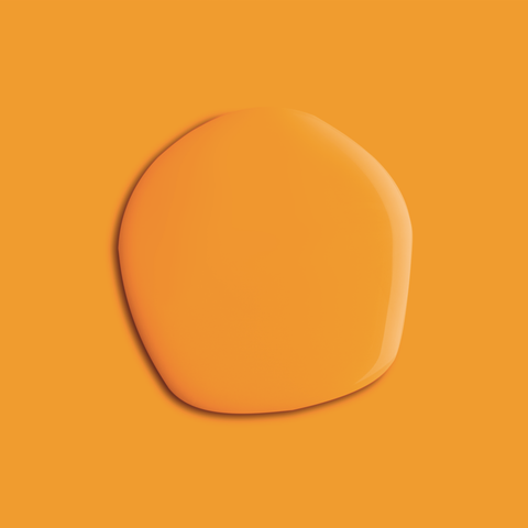 Iconic Orange paint sample (matt, 60ml)