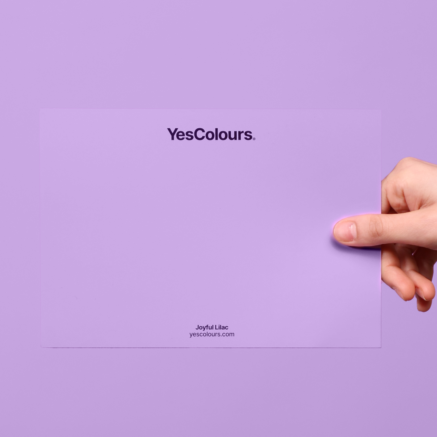 YesColours
