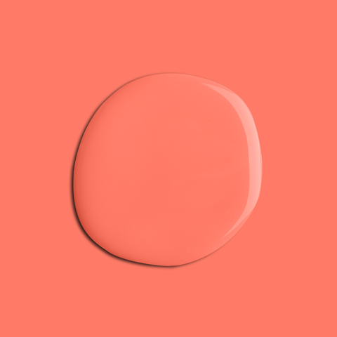 Joyful Orange Eggshell