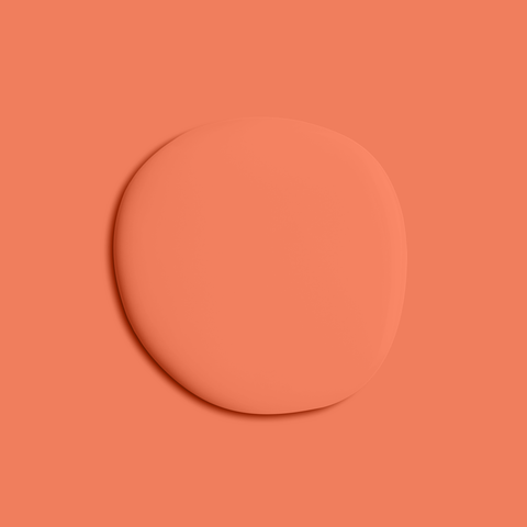 Mellow Orange Eggshell