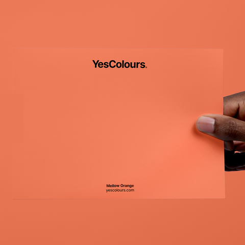 Mellow Orange paint swatch
