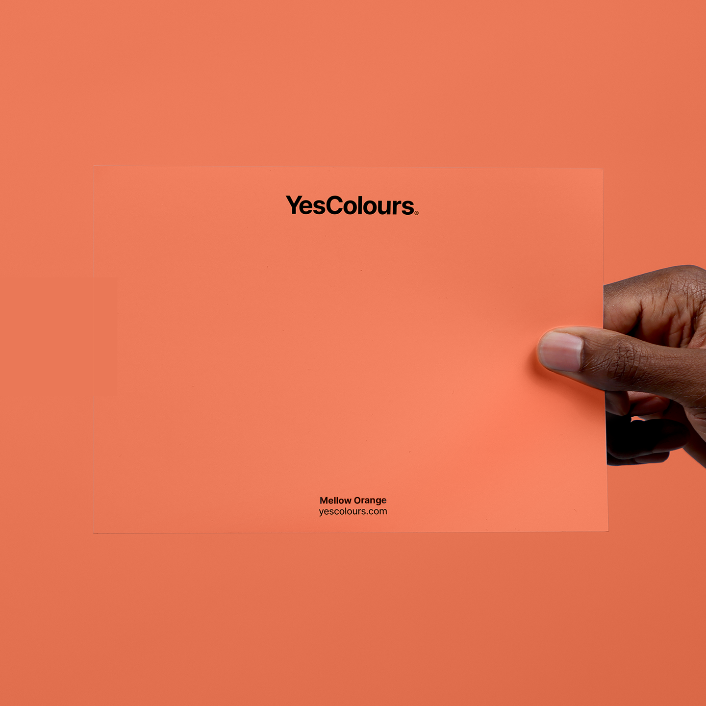 YesColours