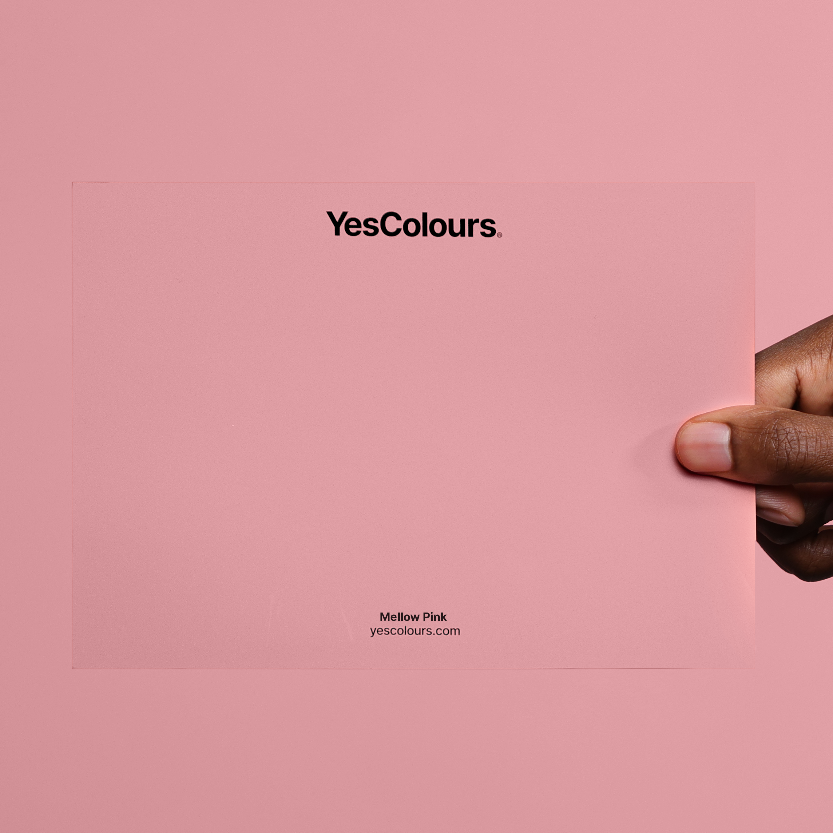 YesColours
