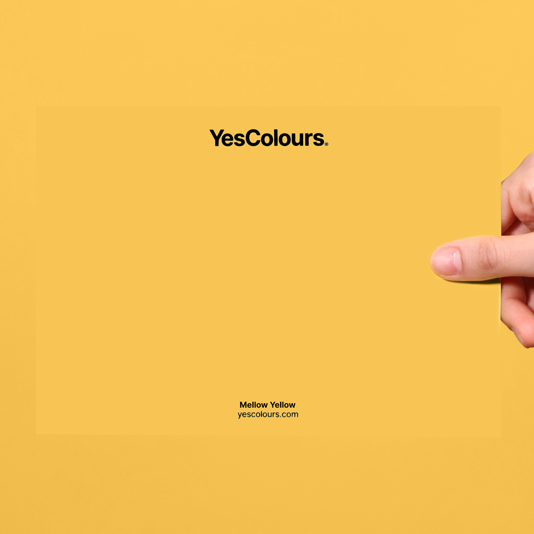 YesColours