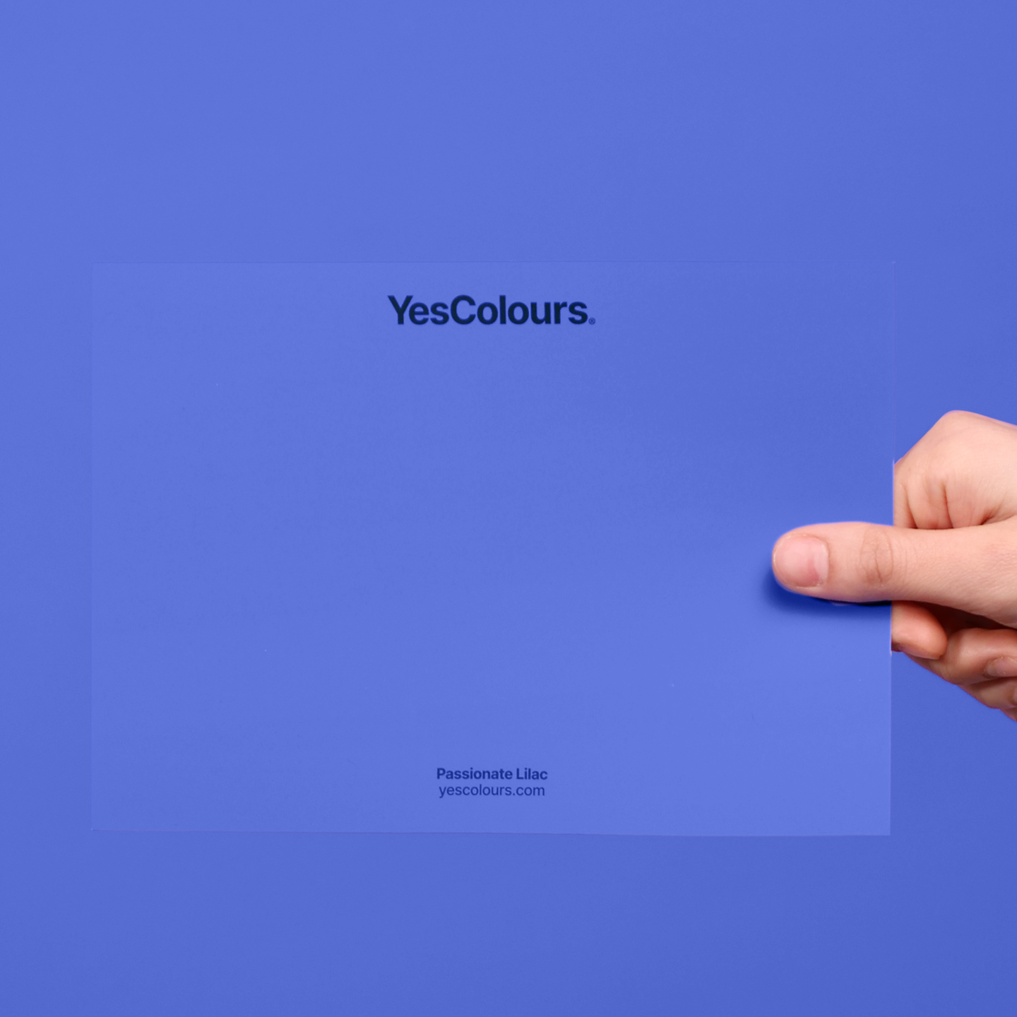 YesColours