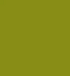 Passionate Olive Green