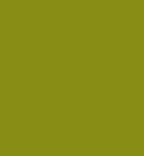Passionate Olive Green