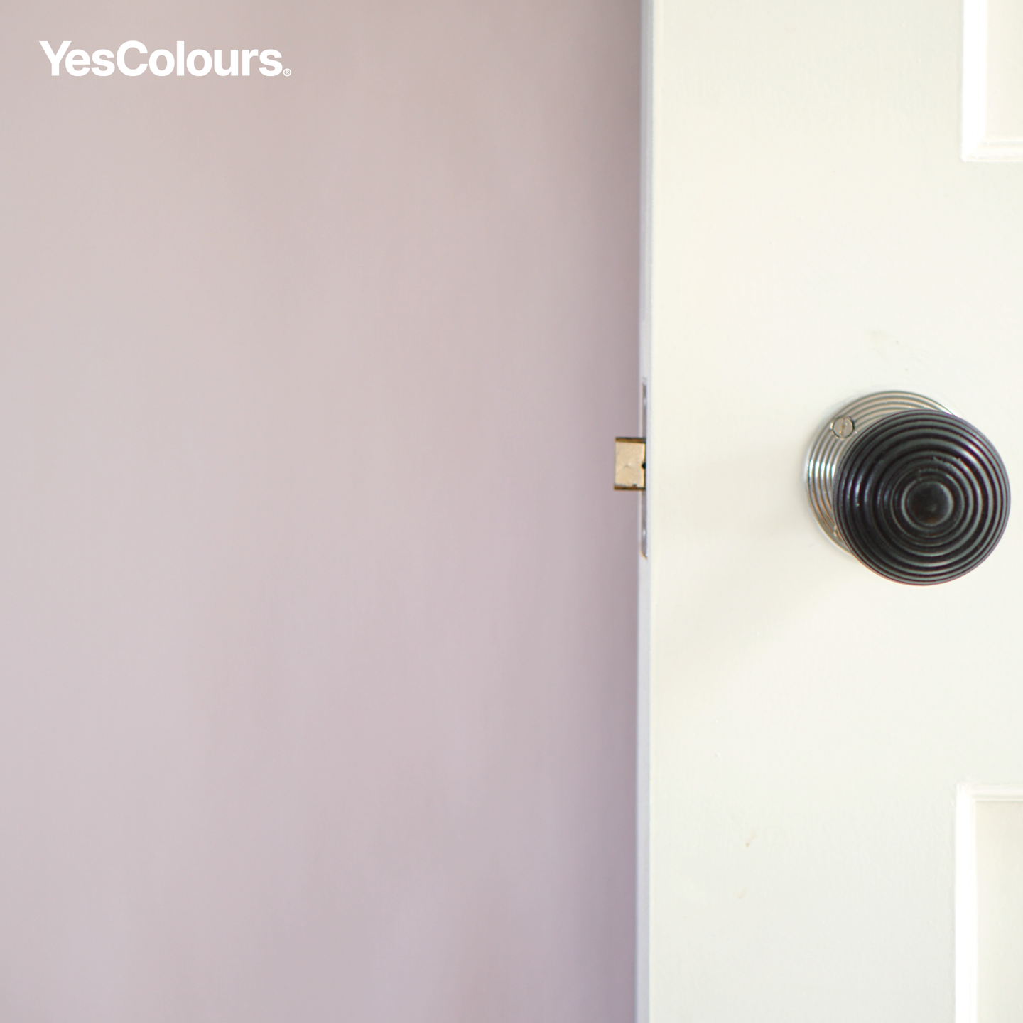 YesColours