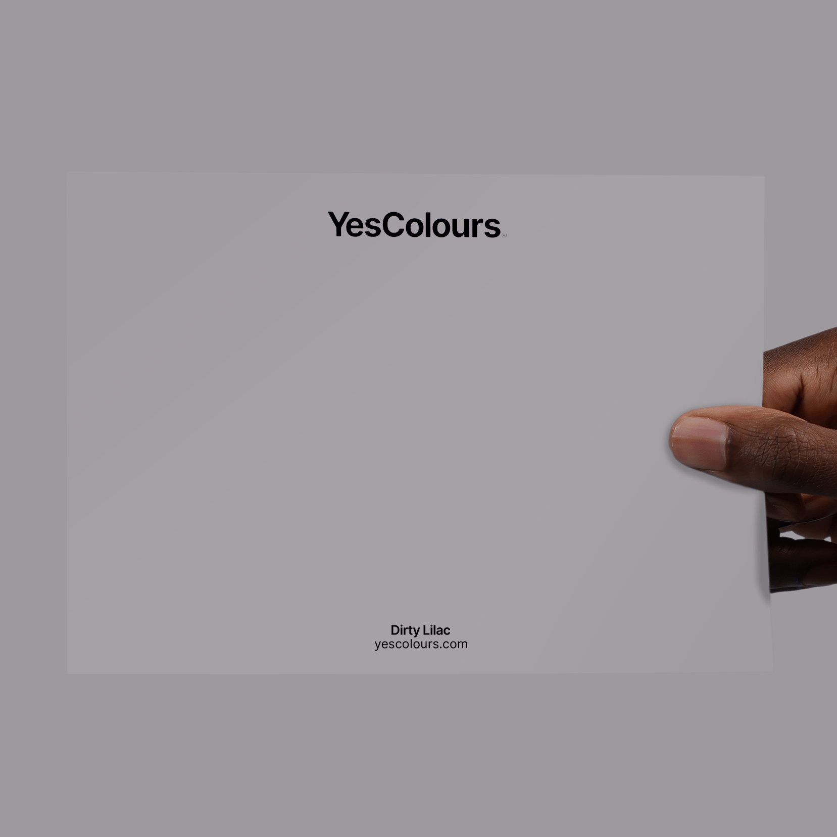 YesColours