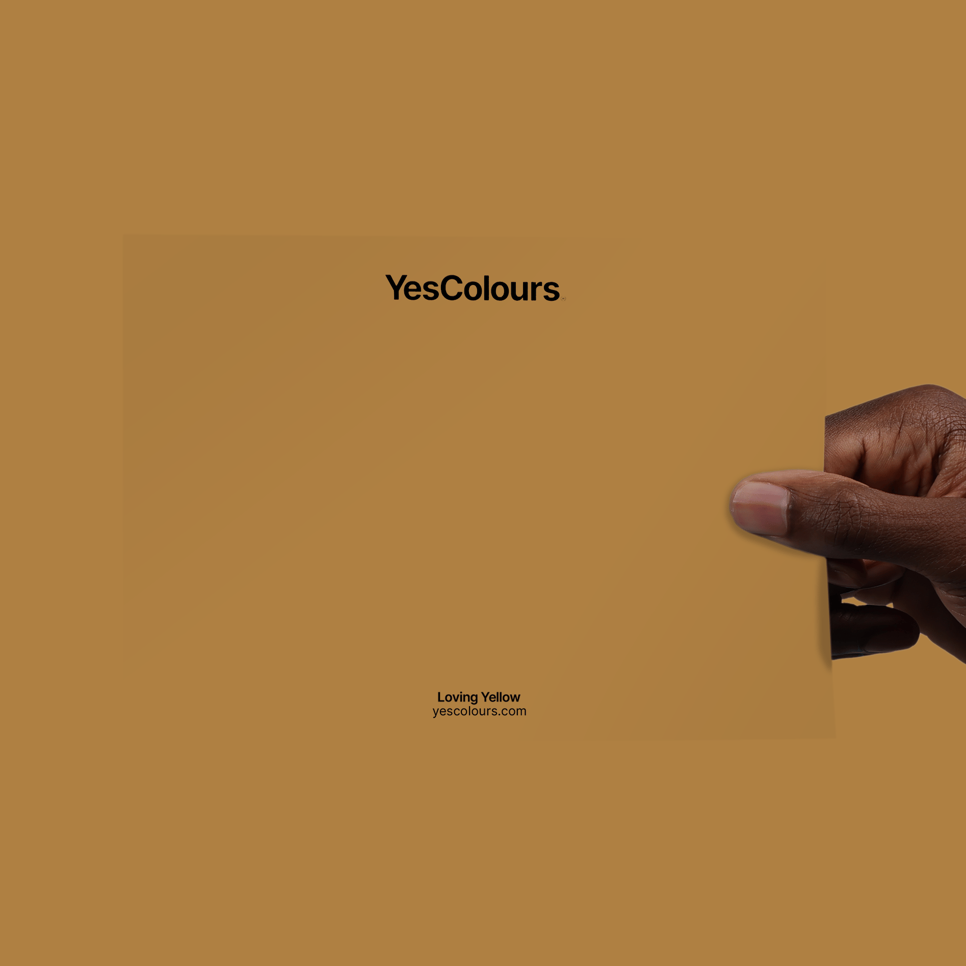 YesColours