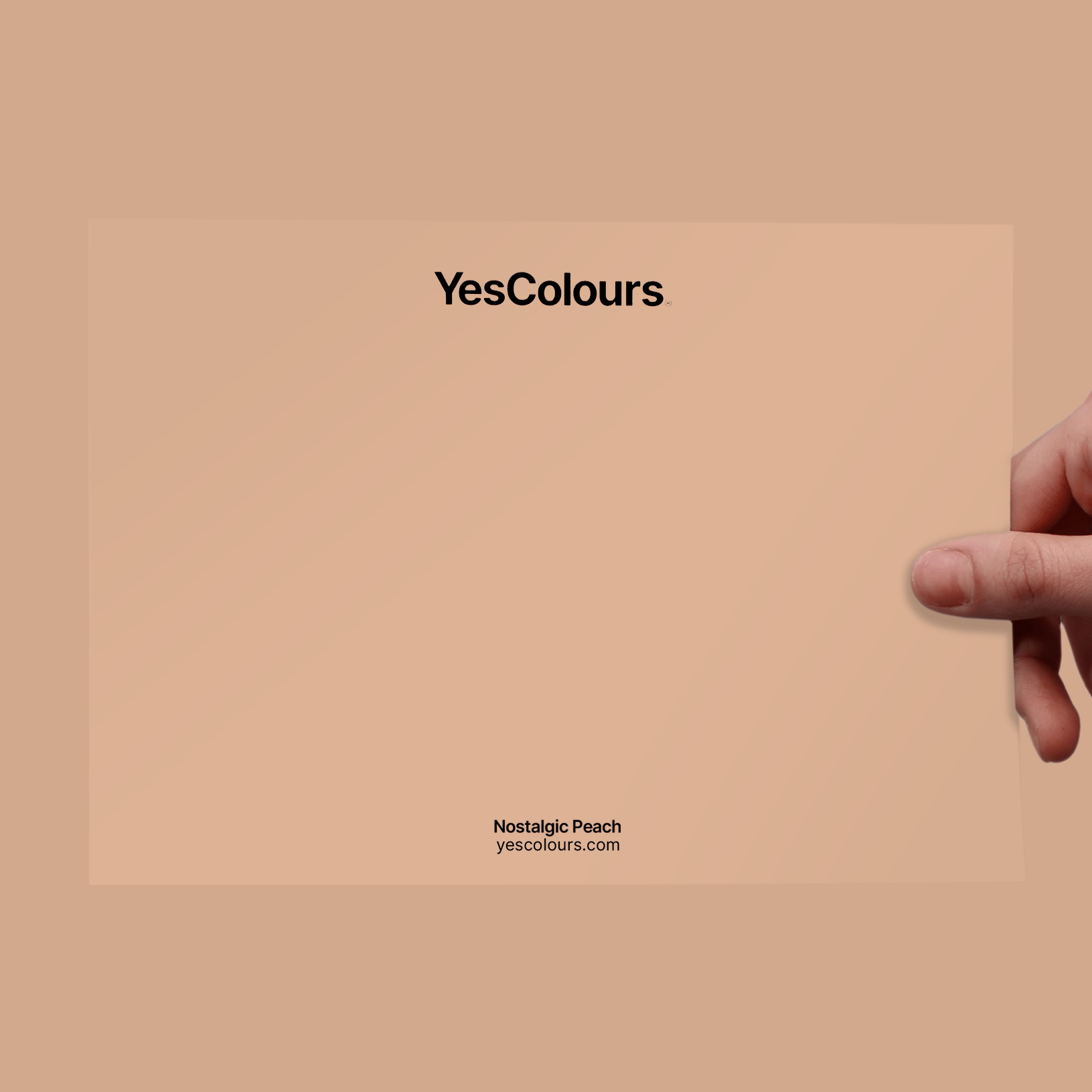 YesColours