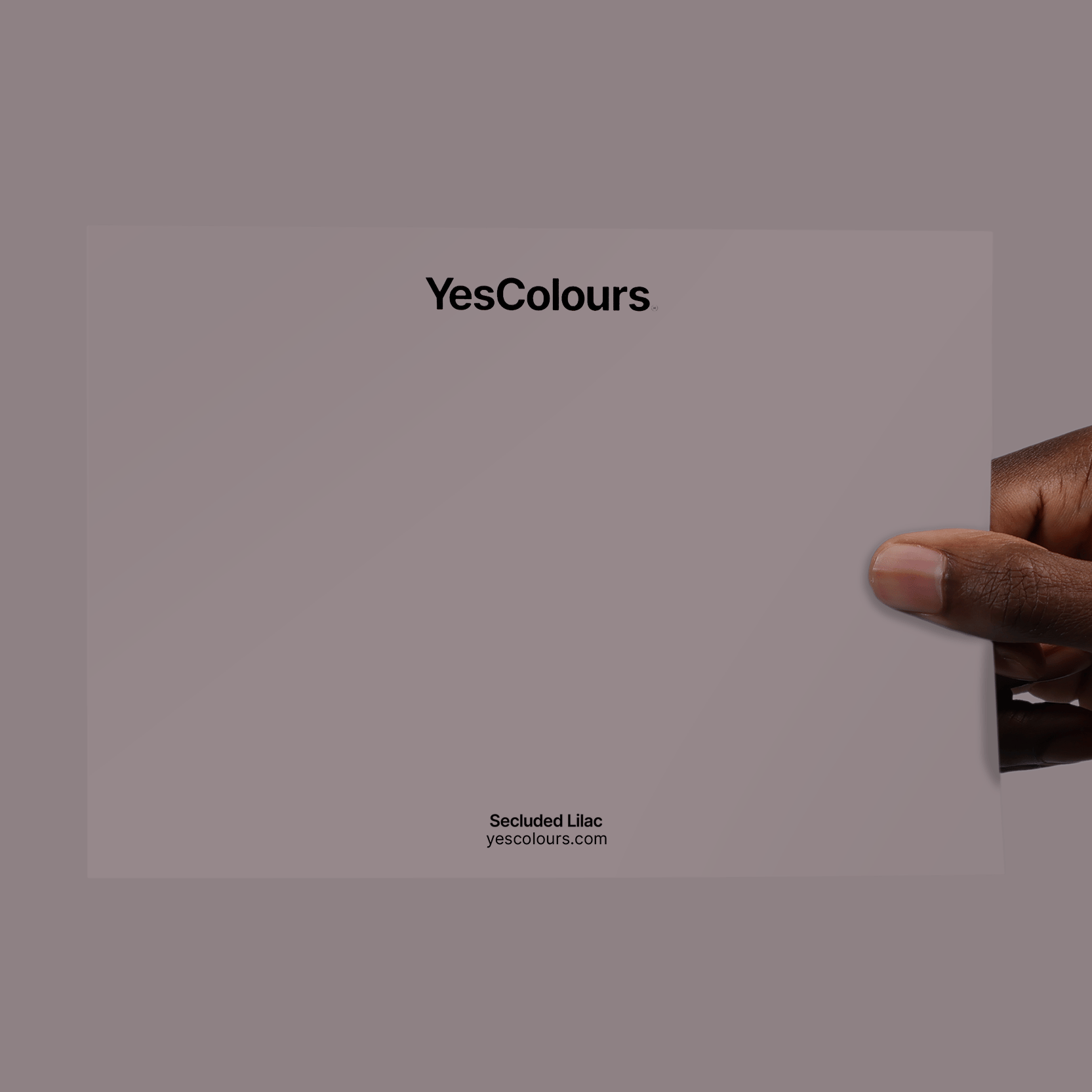 YesColours