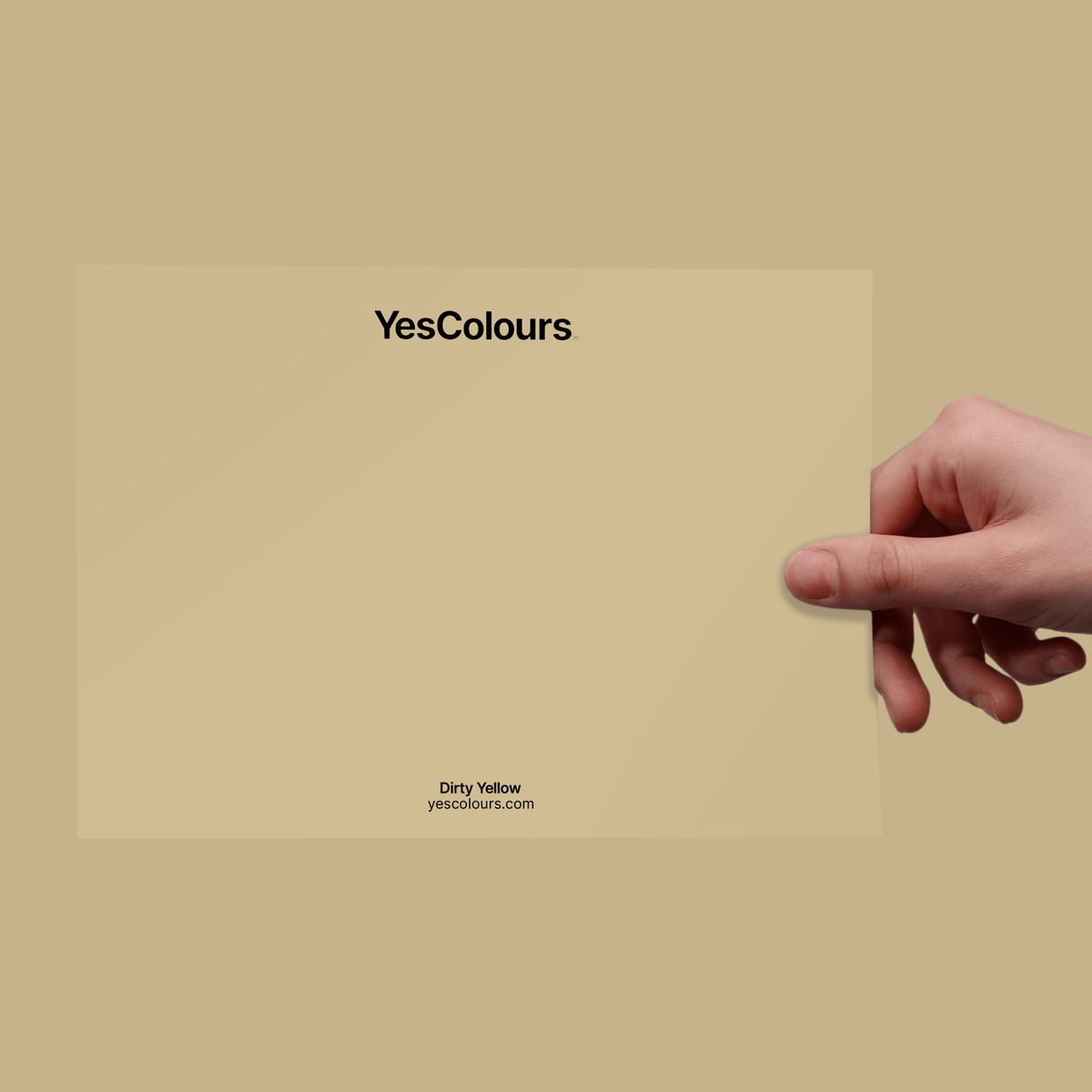 YesColours