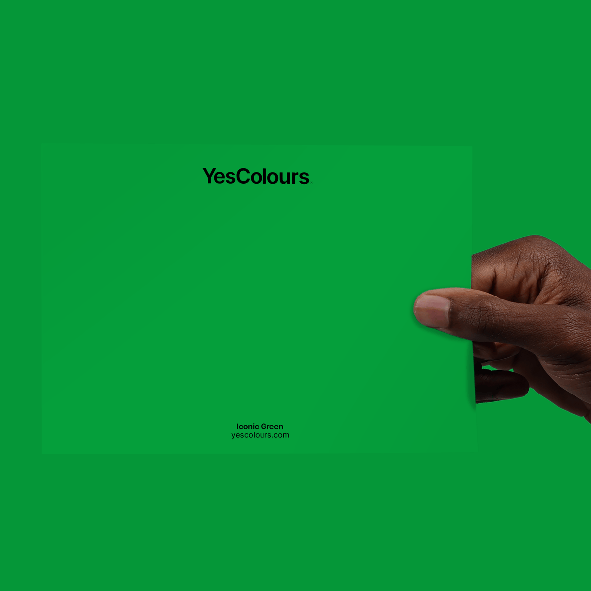 YesColours