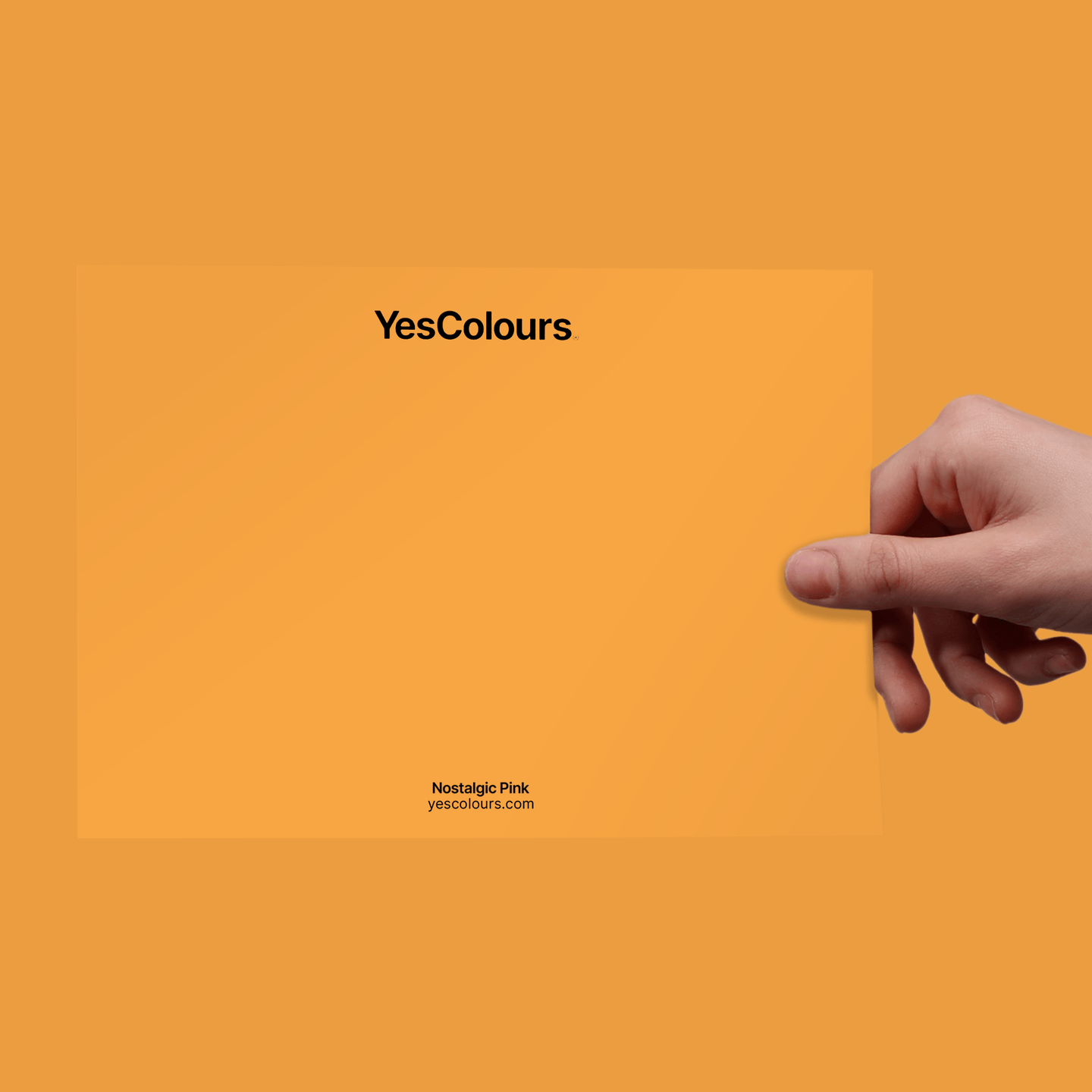 YesColours