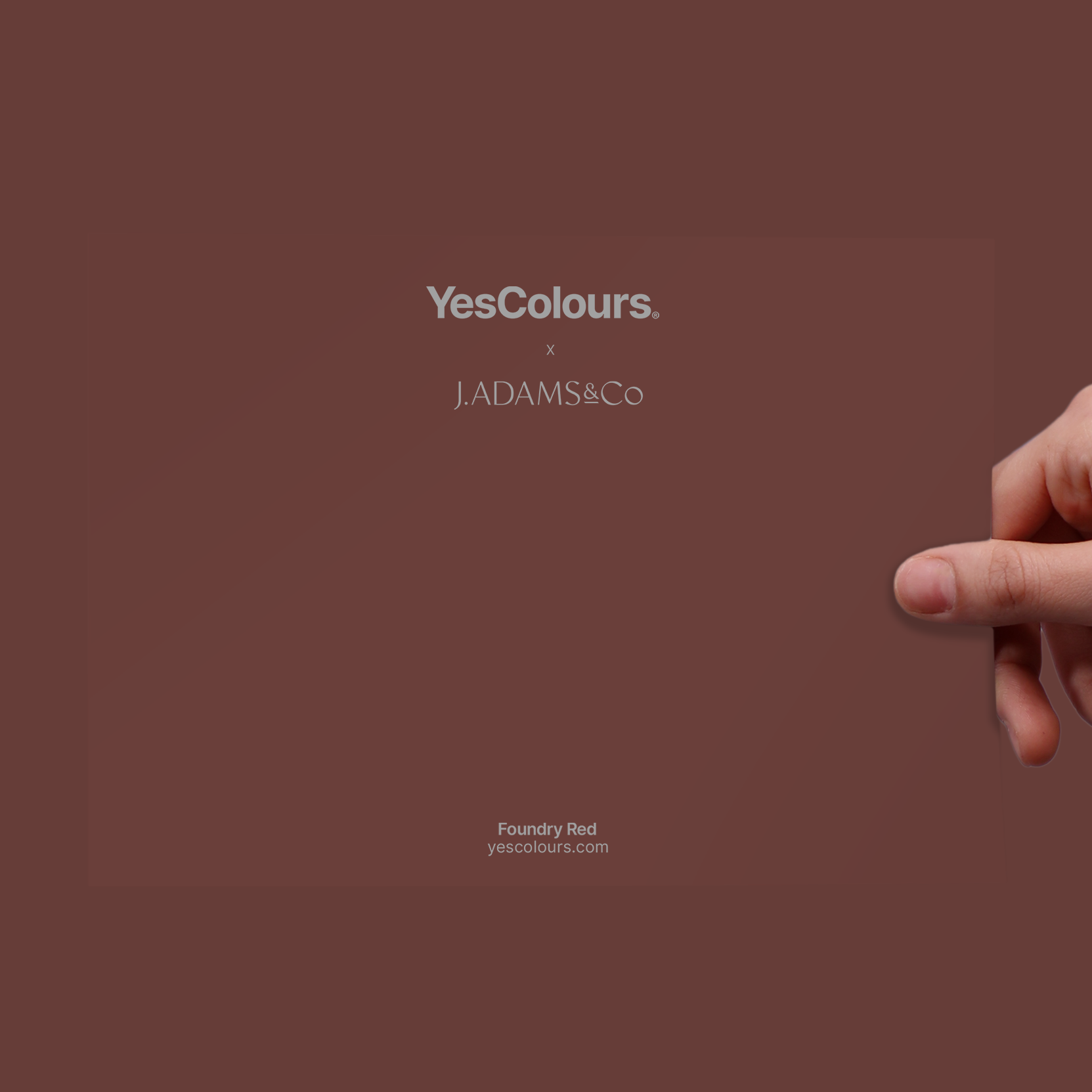 YesColours