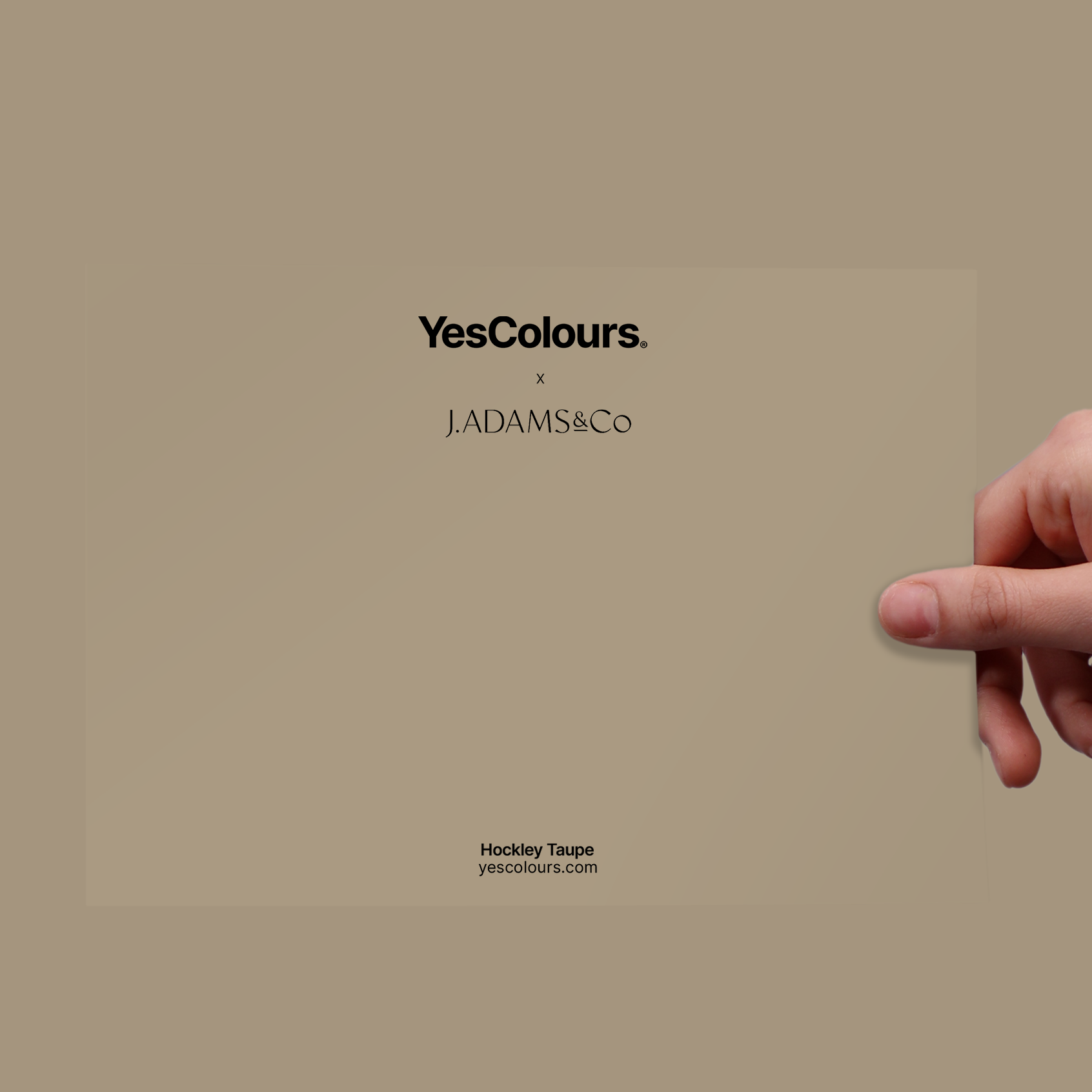YesColours