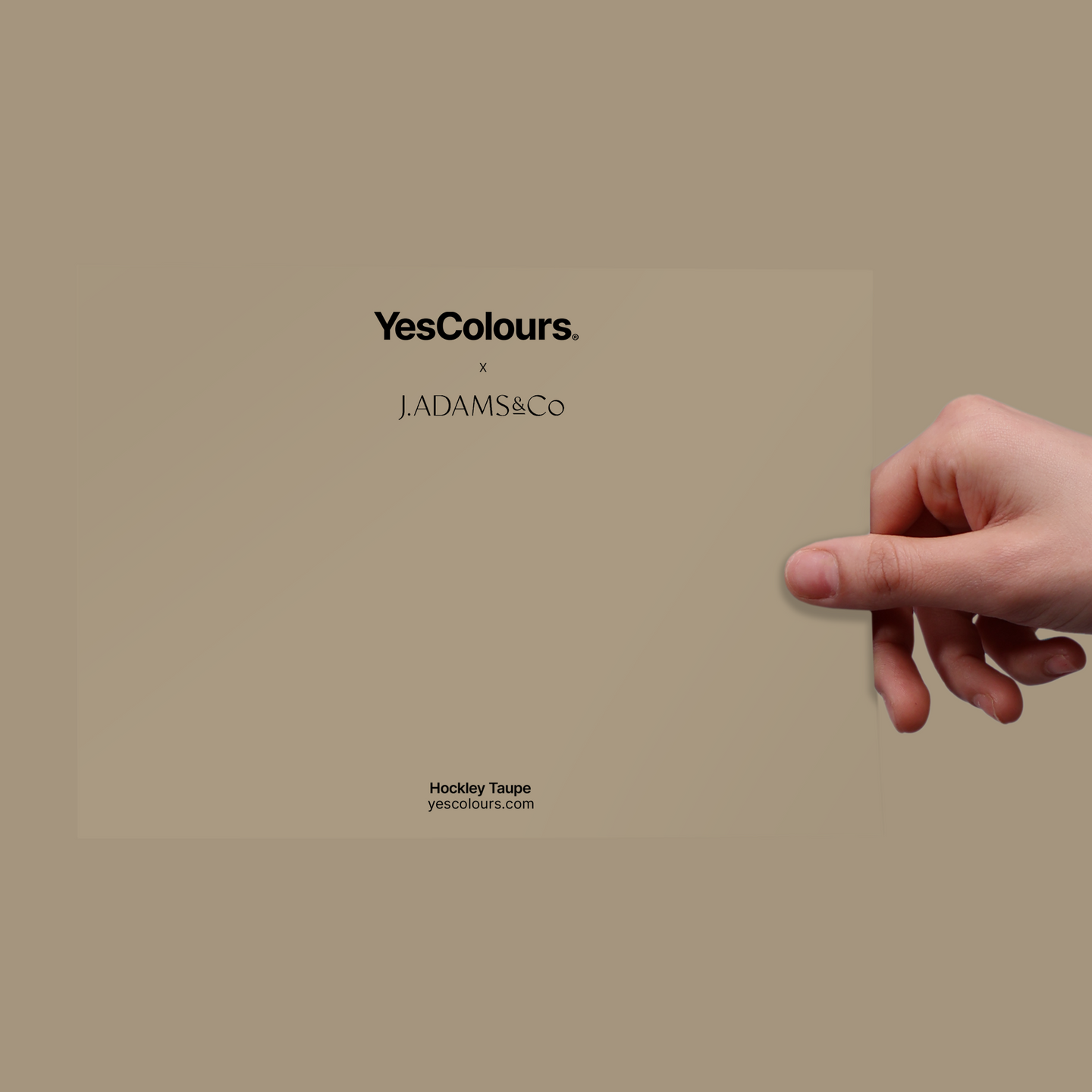 YesColours