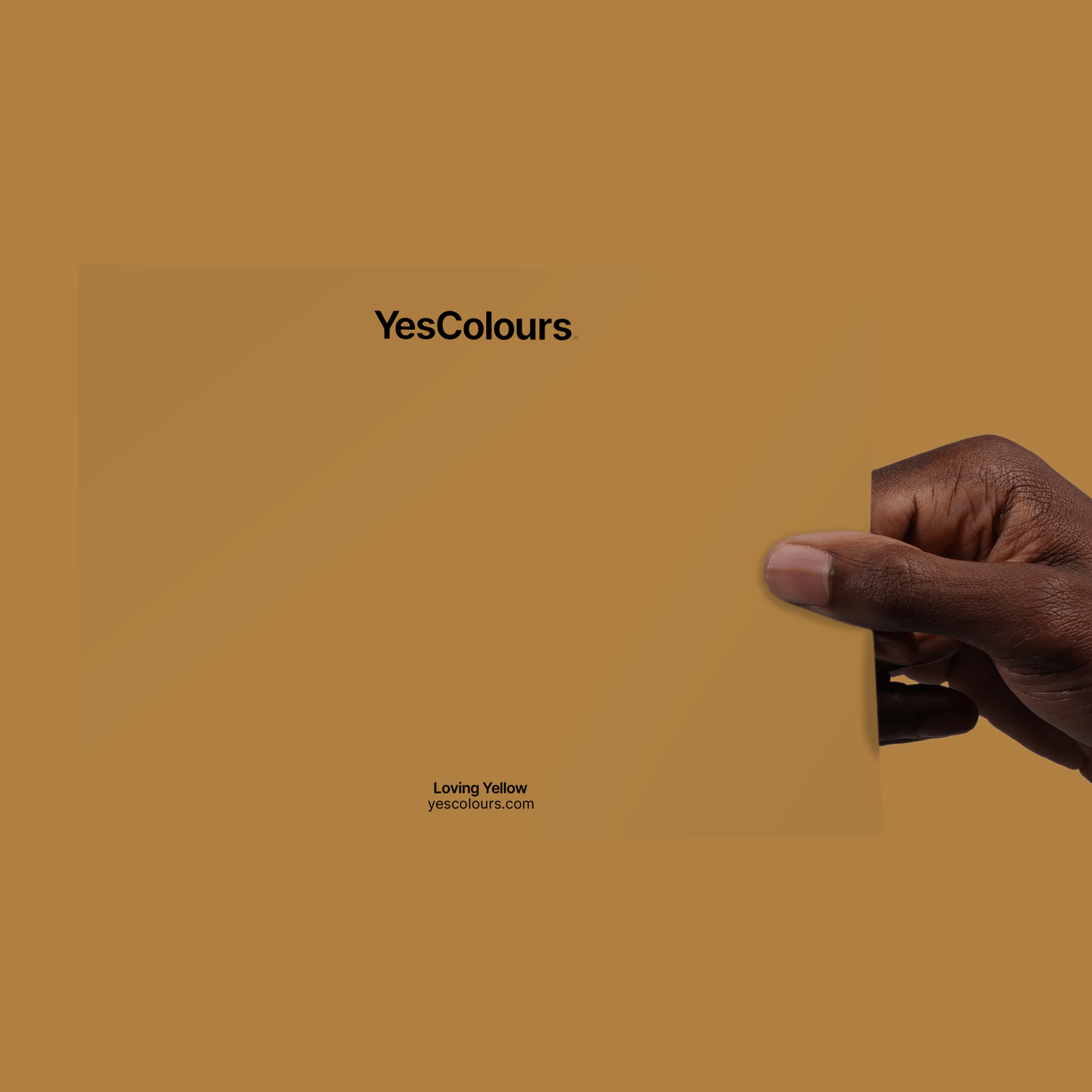 YesColours