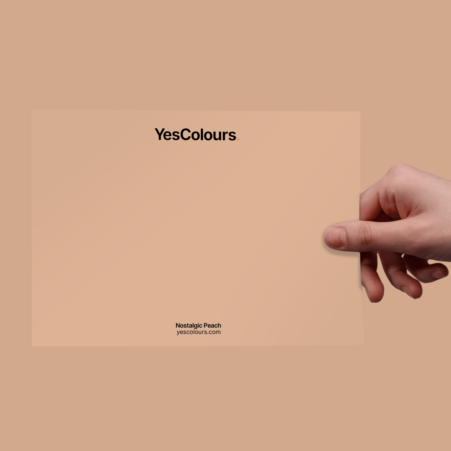 YesColours