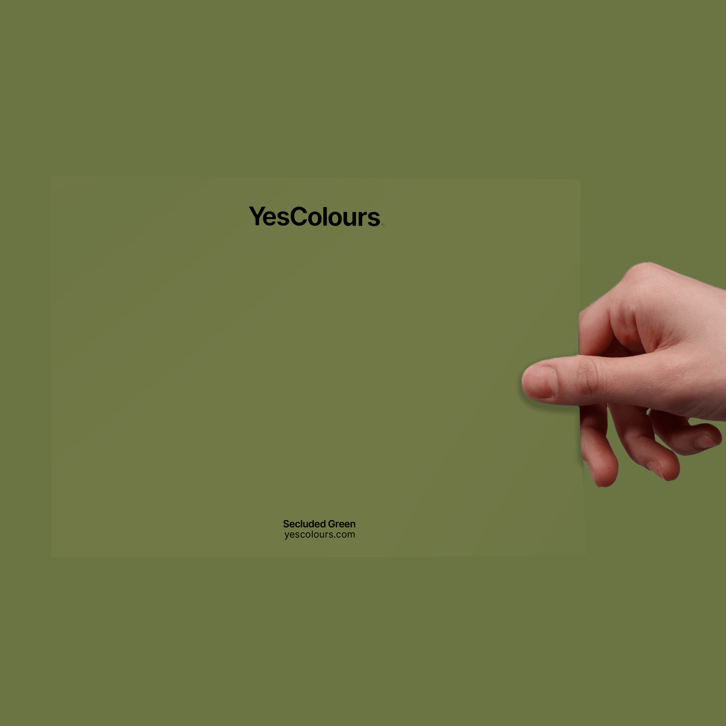 YesColours