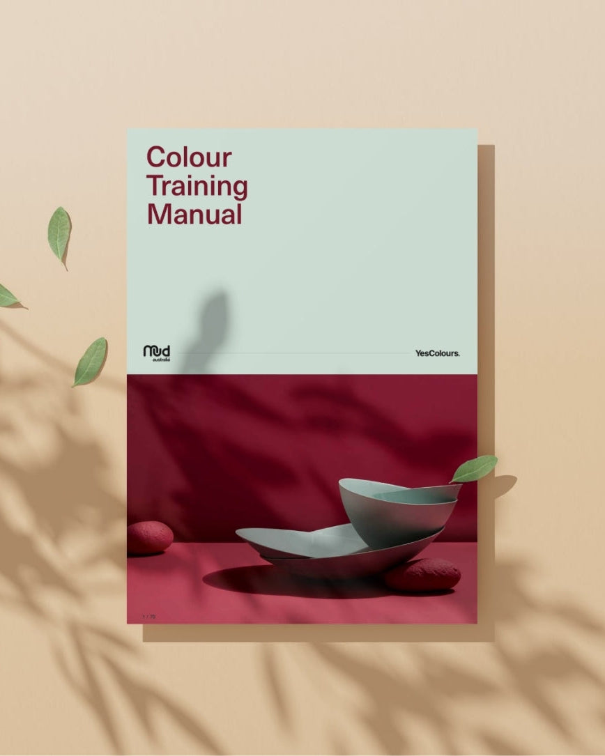 A book or booklet titled 'Colour Training Manual' stands upright against a warm beige wall with leaf shadows cast across it. The cover is split into two sections: the top is pale mint green with dark red text, and the bottom is a deep magenta/pink photographic panel showing a gray bowl and plate on a red surface.