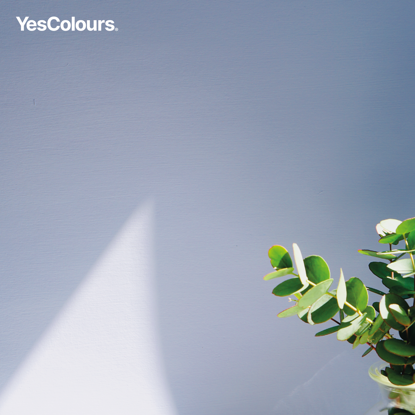 YesColours
