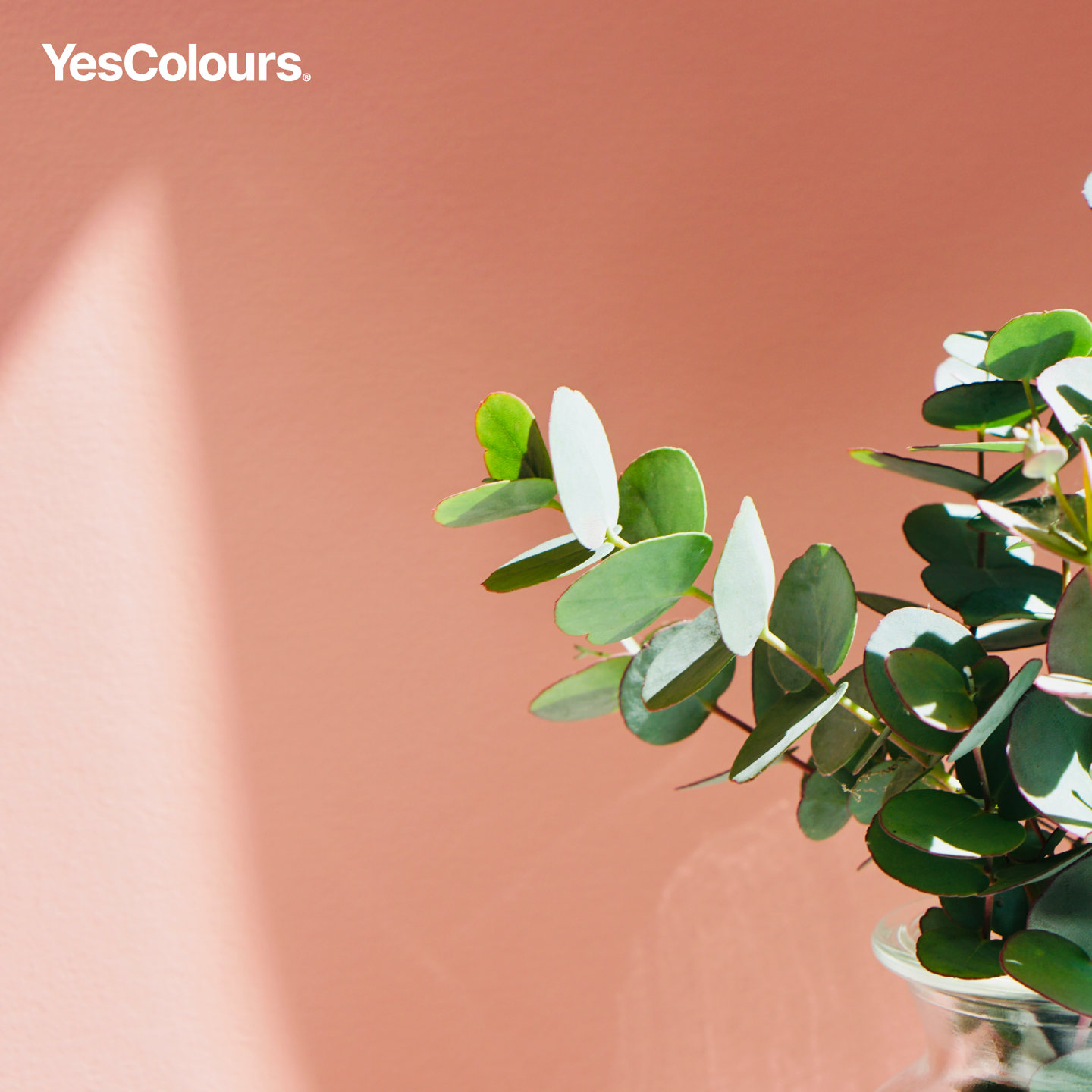 YesColours