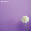 YesColours
