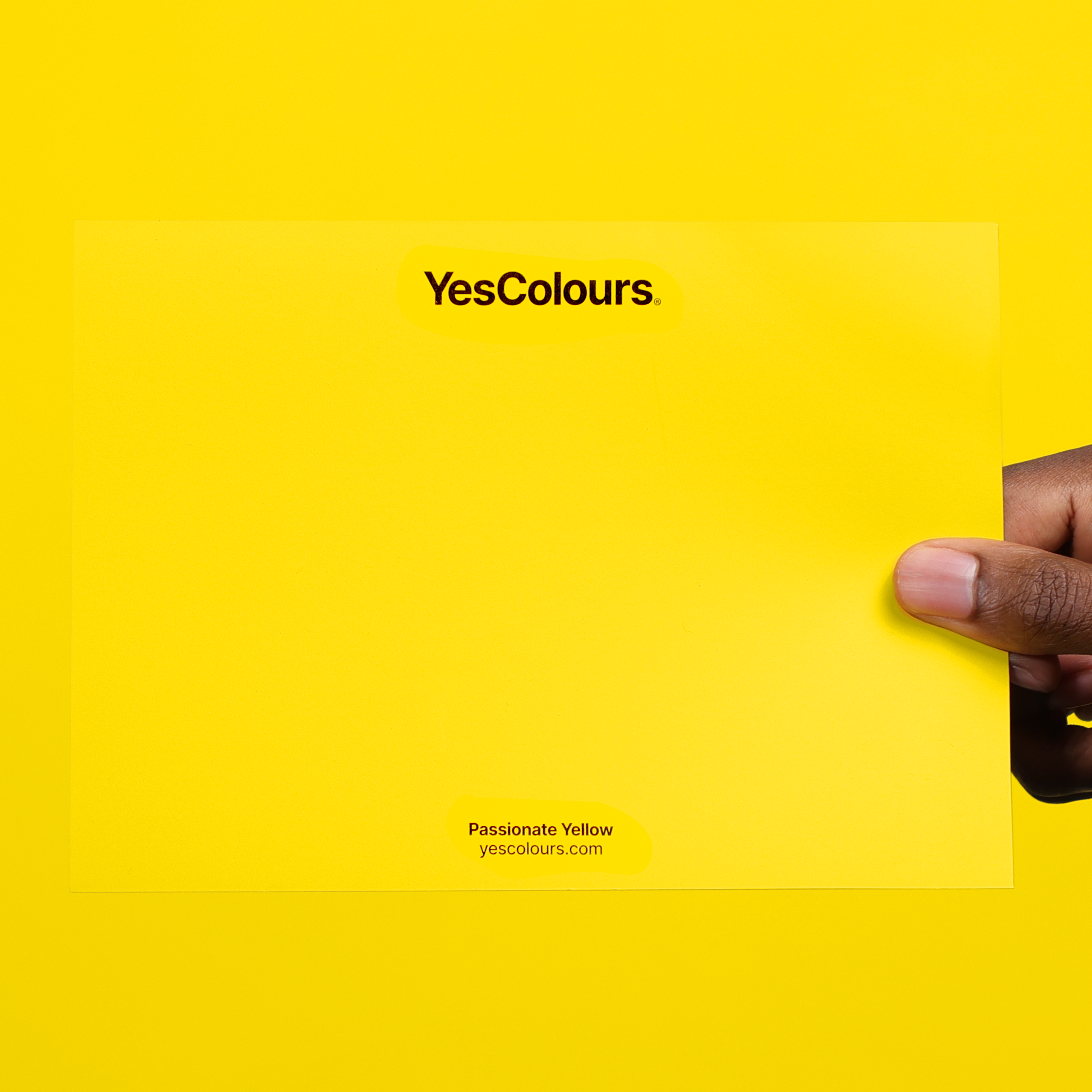 YesColours